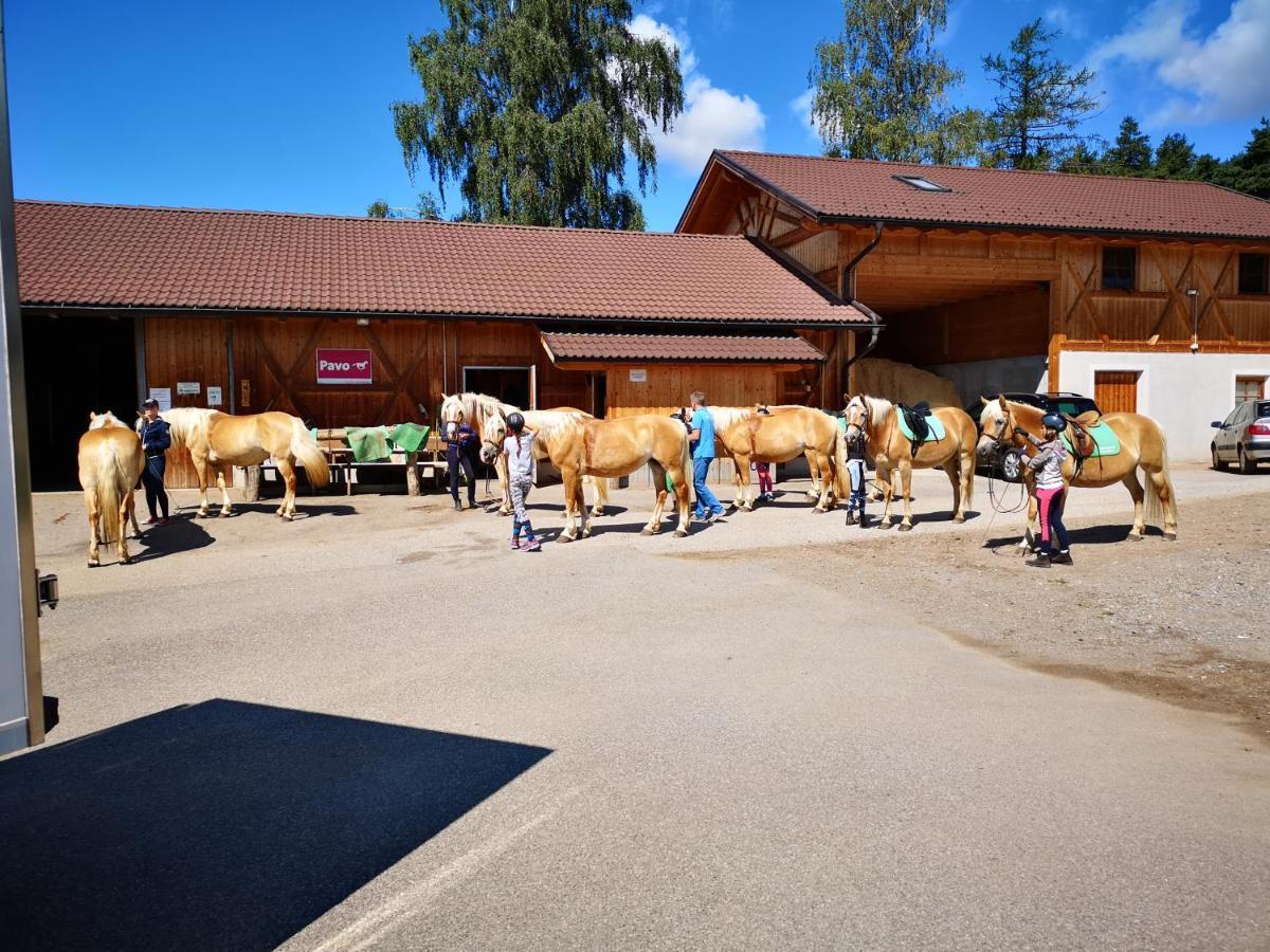 Sonnenparadies San Genesio Atesino Kültér fotó